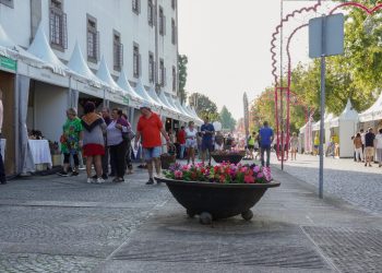 Torneio Interfreguesias de Futebol 2022 já conhece vencedores – Câmara  Municipal de Arouca